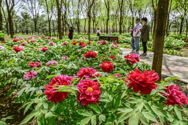 -2：三大+书市+特色小镇打卡文旅新地标AG真人平台app120小时玩转副中心(图8)